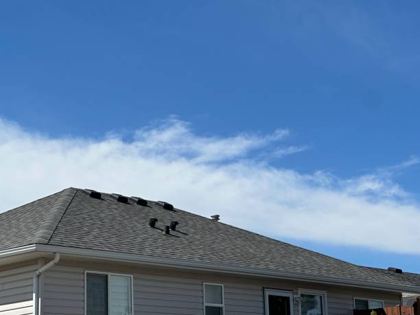 Best Roof Ventilation Installation  in Lake Shore, MN